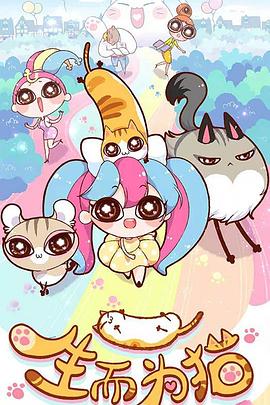 沈阳行业网站优化排名